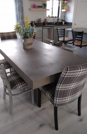 Trica's Biscaro Modern Comfortable Dining Chairs with Upholstered Back in Modern Dining Room