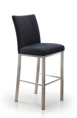 Trica's Biscaro Modern Stationary Barstool with Seat and Back Cushion in Black