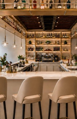 Catherine Modern Bar Stools in Upscale Restaurant