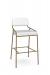 Amisco's Bellamy Gold Non-Swivel Modern Bar Stool with Back in White Seat and Back Cushion