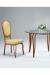 Formal Upholstered Dining Chair by Lisa Furniture