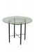 Trica's Astro Dining Height Table with Glass Top