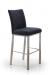 Trica's Biscaro Modern Stationary Barstool with Seat and Back Cushion in Black
