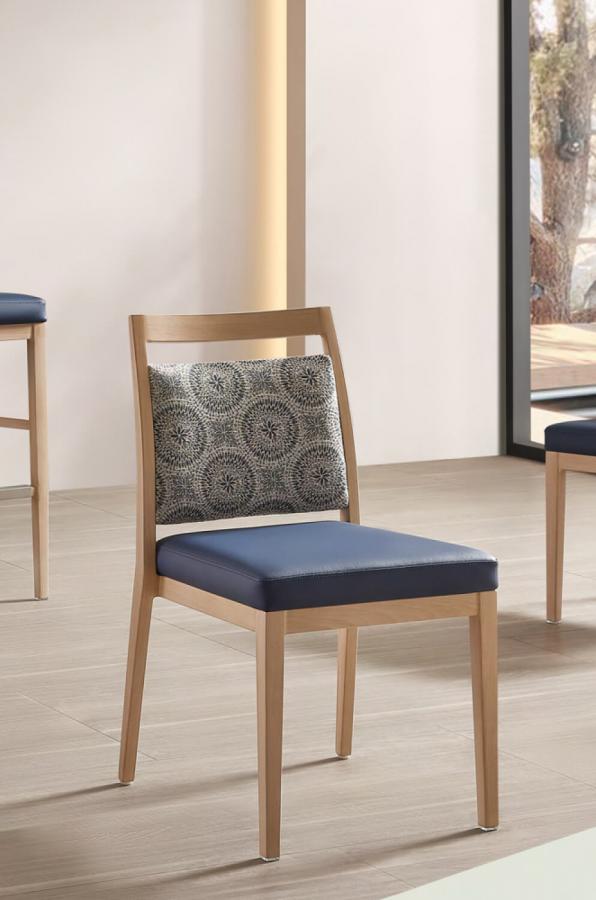 Buy Clair #2 Transitional Dining Side Chair with Padded Back